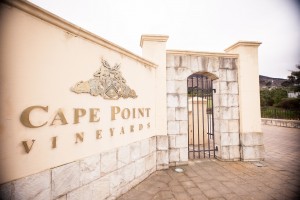 Anne&Giovanni on Cape Town Wedding planner Oh So Pretty Wedding Planning